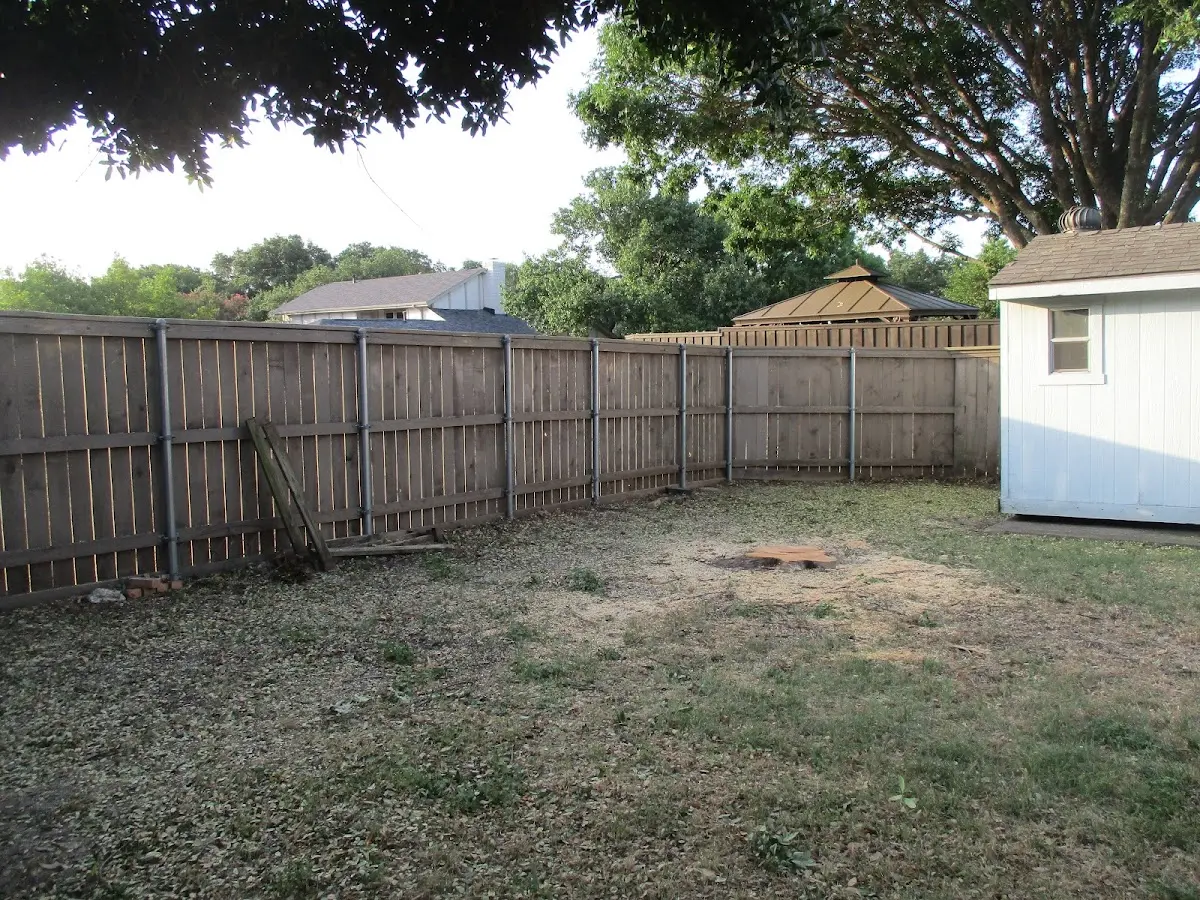 Cleared yard after professional tree removal in Hayesville